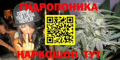 apvp Пыть-Ях
