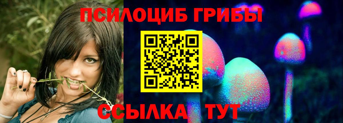 Ртищево  Псилоцибиновые грибы Psilocybe  Вход с VPN 